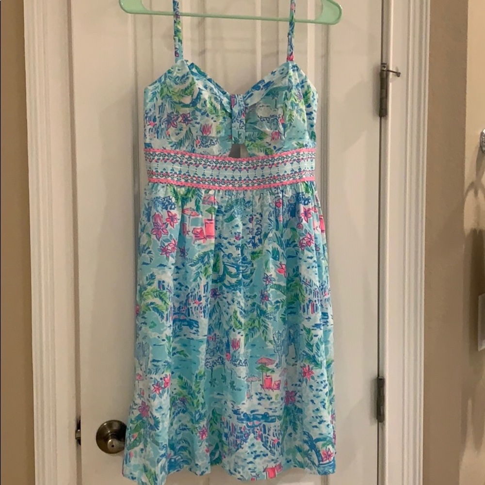 Lilly pulitzer Katlynn Dress (size 2)